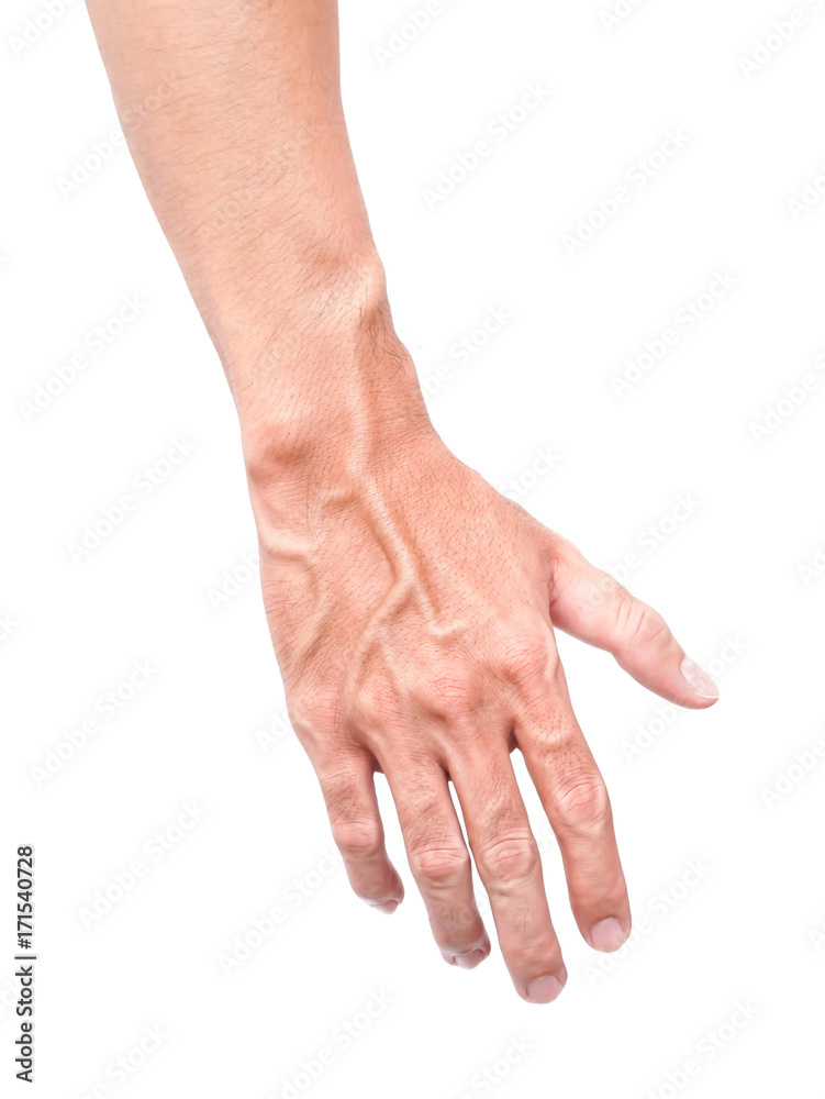 Man arm skin with blood veins on white background, health care and medical concept