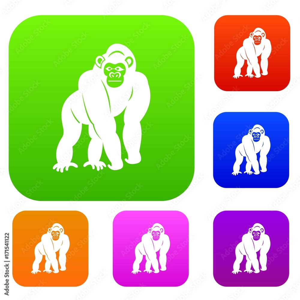 Bonobo set color collection
