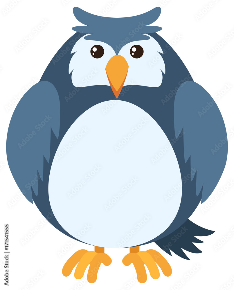 Obraz premium Blue owl with round body
