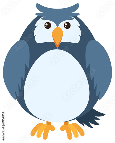 Blue owl with round body