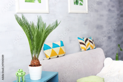 Tropical palm with bright g...