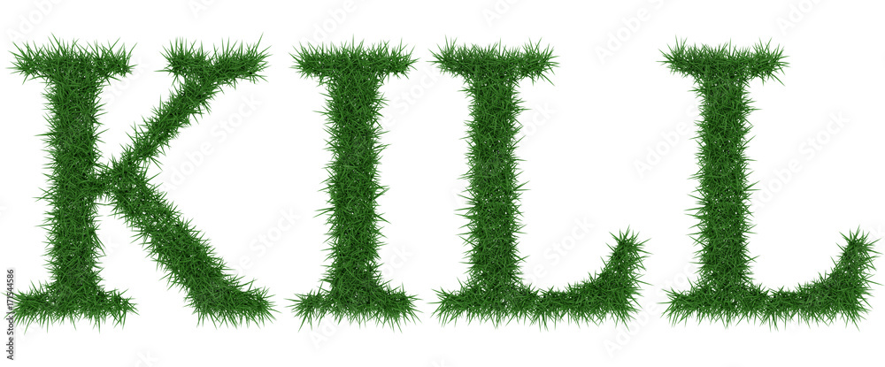 Kill - 3D rendering fresh Grass letters isolated on whhite background. Kill - 3D rendering fresh Grass letters isolated on whhite background.