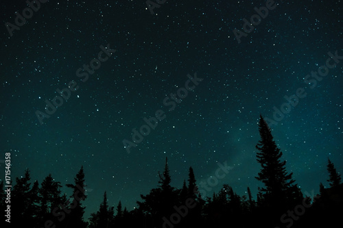 Stars in the night sky against the backdrop of silhouettes of trees 