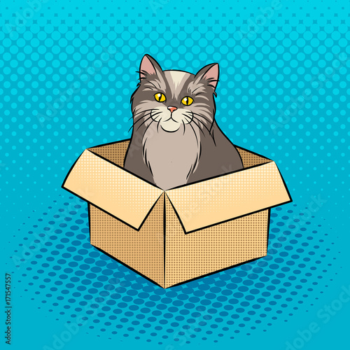 Cat in box pop art vector illustration