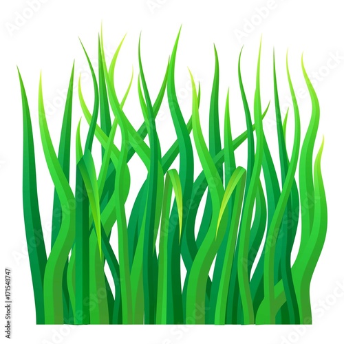 Green grass icon  realistic style