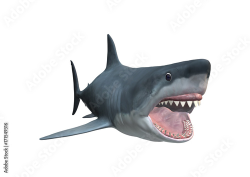 3D Rendering Megalodon Shark on White