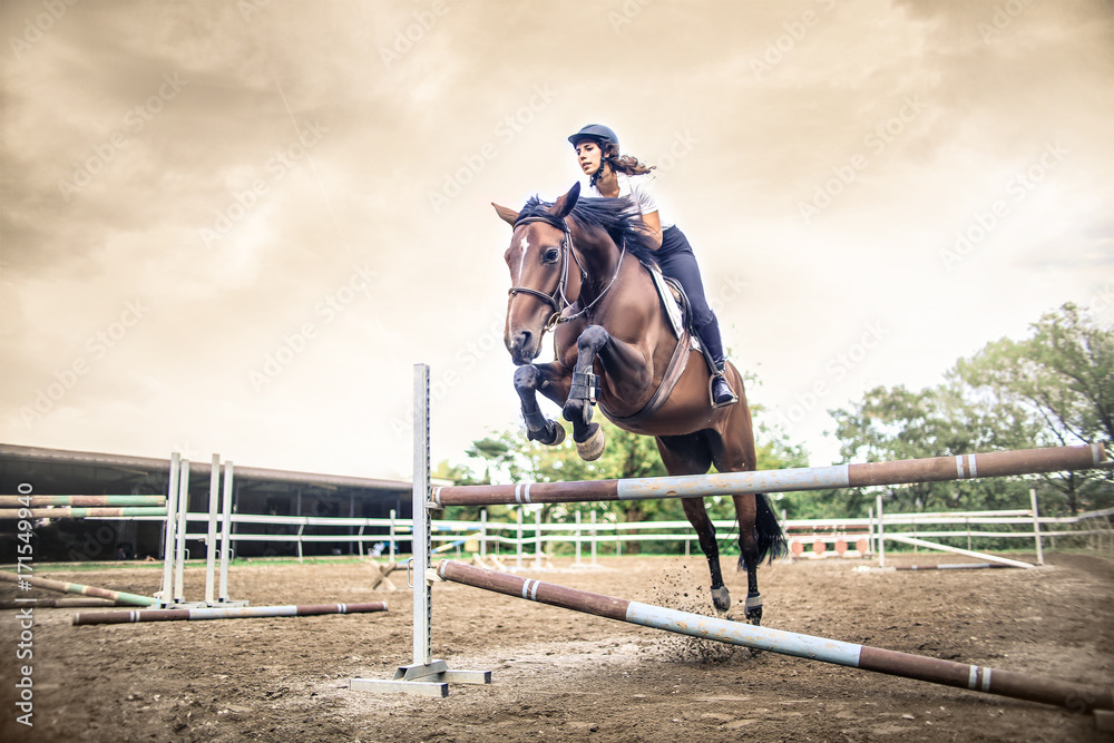 Fototapeta Dziewczyna jedzie na koniu, przeskakując przeszkodę