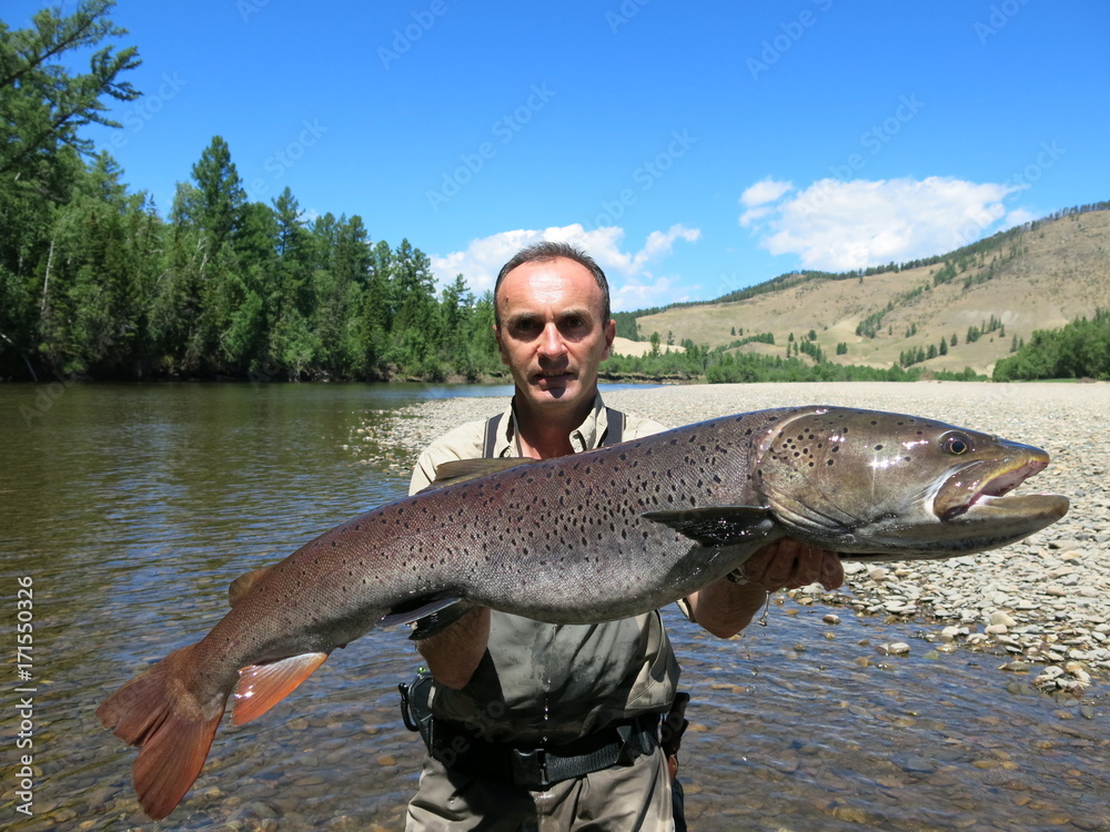 Taimen (Hucho taimen) fishing in Mongolia Photos | Adobe Stock