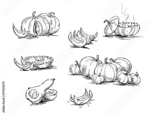 Pumpkins, dishes with pumpkin. Vector sketch