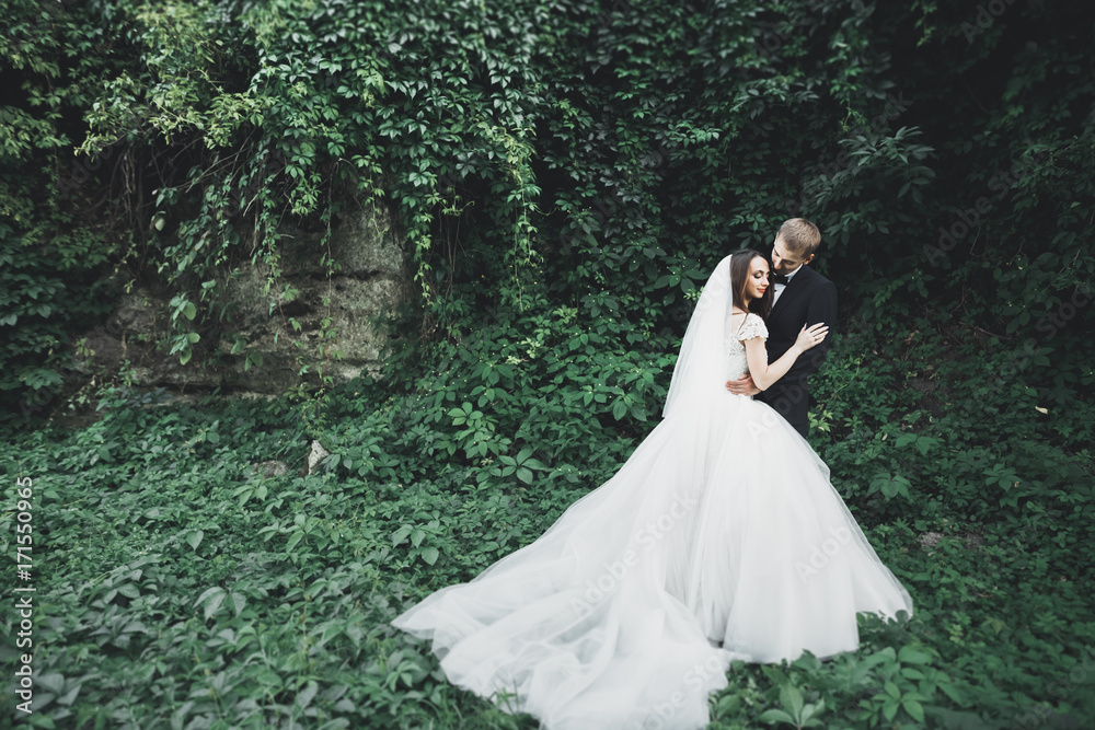 Beautiful romantic wedding couple of newlyweds hugging in park on sunset