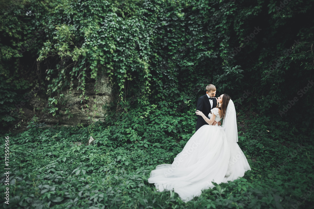 Romantic, fairytale, happy newlywed couple hugging and kissing in a park, trees in background
