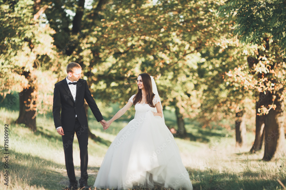 Romantic, fairytale, happy newlywed couple hugging and kissing in a park, trees in background