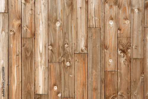 Wood Texture