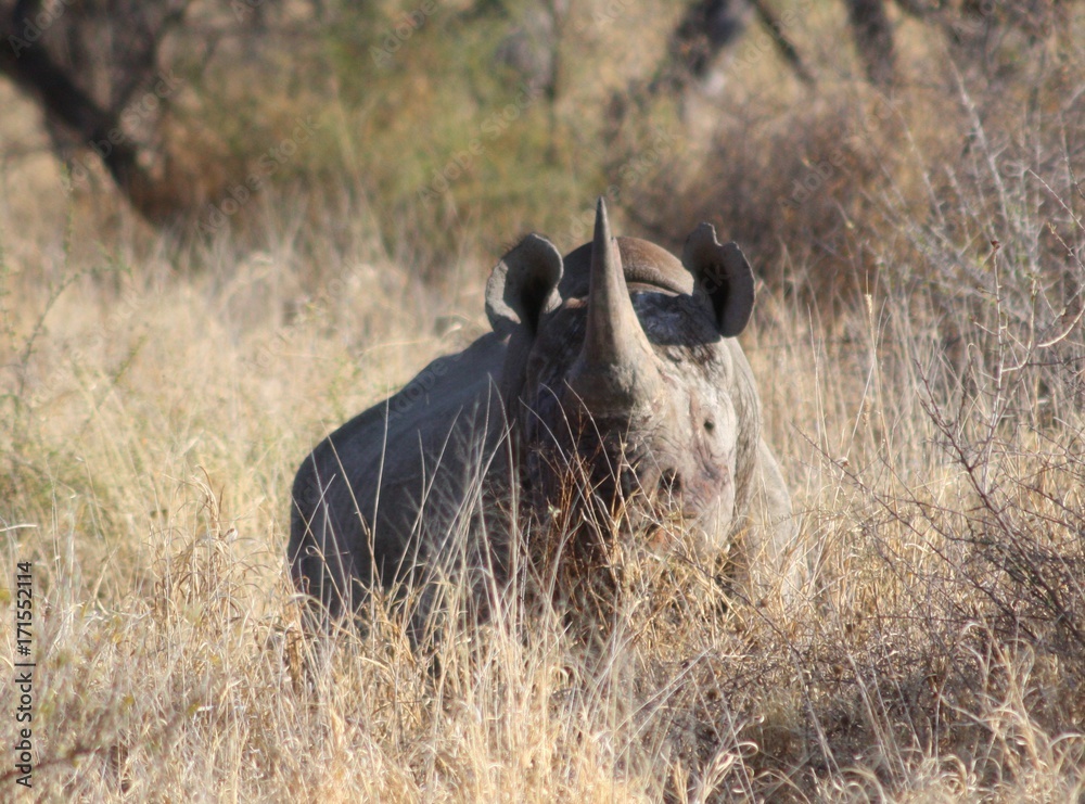 namibie namibie