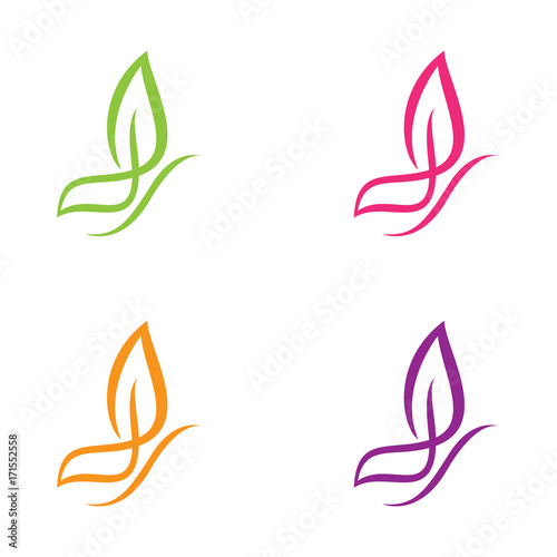 butterfly color set logo template