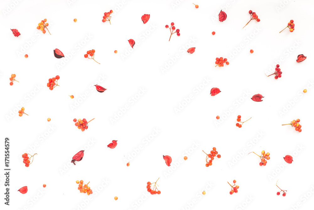 Autumn frame. Viburnum berries, dried branches, autumn acorn, flowers on white background. Flat lay, top view Autumn frame. Viburnum berries, dried branches, autumn acorn, flowers on white background. Flat lay, top view