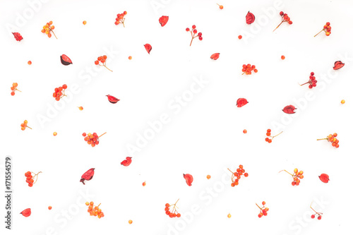 Autumn frame. Viburnum berries  dried branches  autumn acorn  flowers on white background. Flat lay  top view