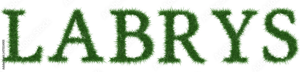 Fototapeta premium Labrys - 3D rendering fresh Grass letters isolated on whhite background.