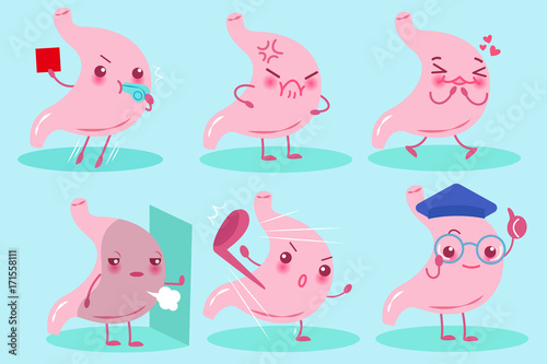 cute cartoon stomach