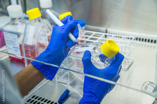 Принти на полотні Laboratory work at the steril bank