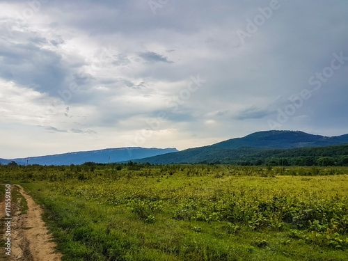 Mountain forest landscape at the foot of the Caucasus Mountains  Adygea  Russia