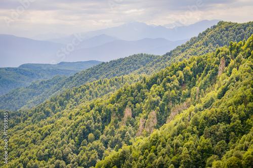 Mountain forest landscape at the foot of the Caucasus Mountains, Adygea, Russia © rostovdriver