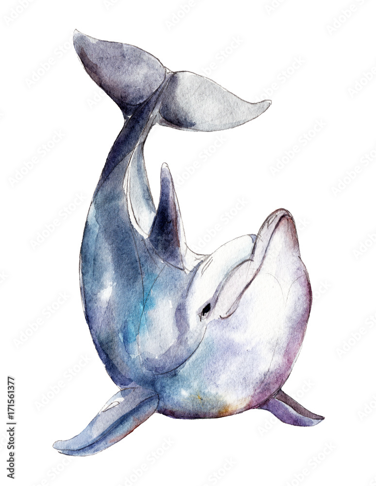 Obraz premium Watercolor dolphin, hand-drawn illustration isolated on white background.