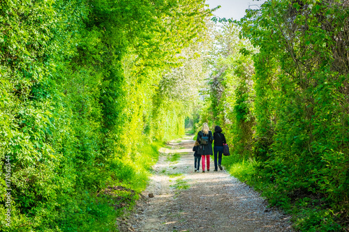 Promeneurs a la campagne