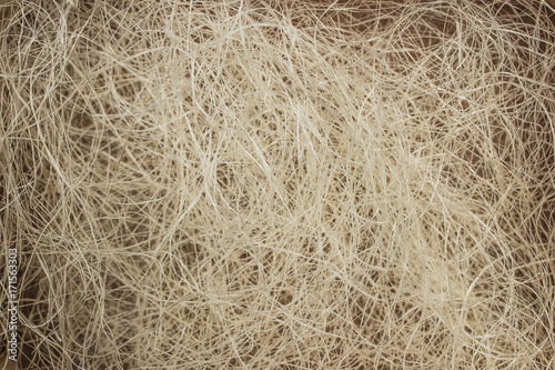 Texture background, tangled sisal fibers, thin threads