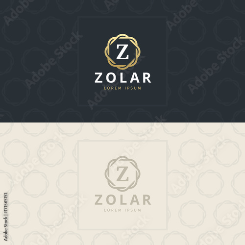 Z Letter Logo, Icon with pattern. vector element