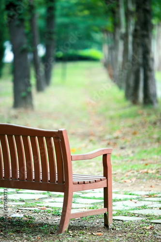 Bench