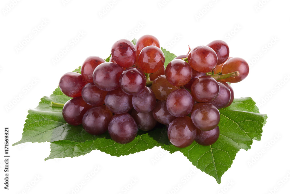 Obraz premium Red grapes isolated on over white background