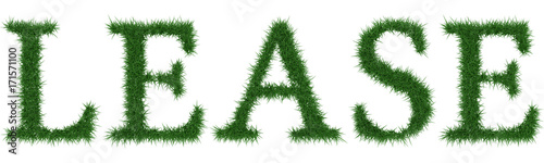 Lease - 3D rendering fresh Grass letters isolated on whhite background.