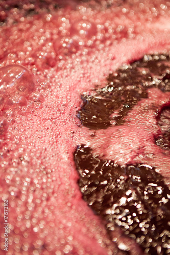 vendange vinification vin