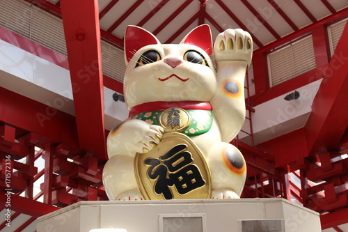 lucky cat in JAPAN