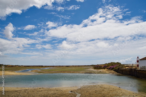 Fototapeta Naklejka Na Ścianę i Meble -  Marschlandschaft im Naturschutzgebiet Ria Formosa