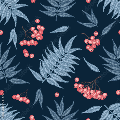 Engraving autumn rowanberry seamless pattern.