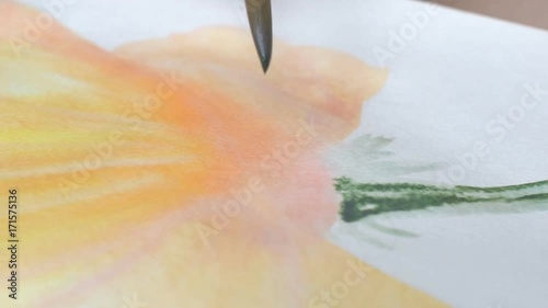 Artist painting watercolor paints