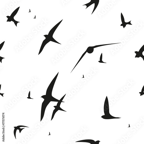 Swallow, swift, birds. Graphic vector pattern. Decorative seamless background