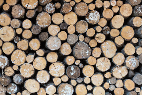 Closeup of cut firewood, natural wood background