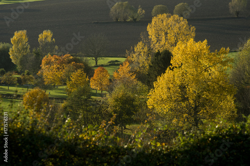 Het zuid-limburgse Mergelland in de buurt van Epen tijdens de herfst