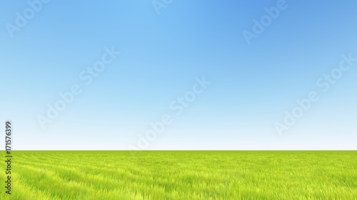 landscape green grass and clear sky 3D render