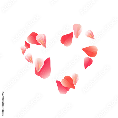Pink Red flying petals isolated on white background. Sakura petals. Heart of petals. Vector