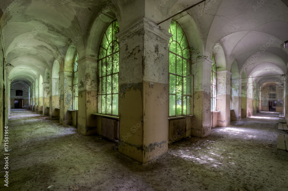 Fototapete mit Green Hallway #171581914