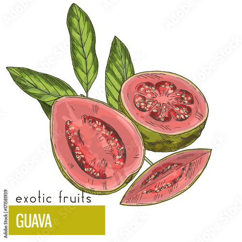 Guava, fruit with leaves