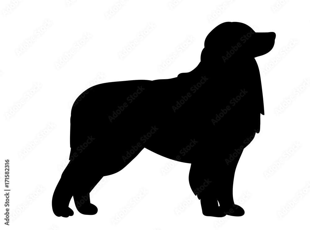 black silhouette of a dog