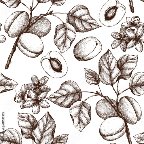 Vector seamless pattern with hand drawn apricot tree illustration