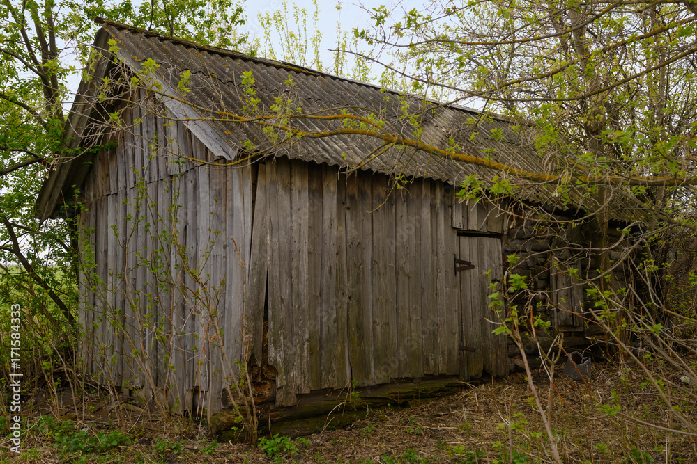 old wooden lumbering shed between the trees old wooden lumbering shed between the trees