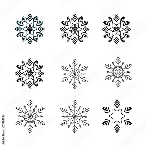 Snowflake isolated set