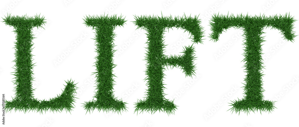 Lift - 3D rendering fresh Grass letters isolated on whhite background. Lift - 3D rendering fresh Grass letters isolated on whhite background.